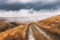 Amazing scene on autumn mountains Royalty Free Stock Photo