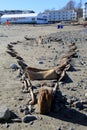 Amazing scene of unearthed shipwreck after Nor`Easter, Short Sands Beach, Maine