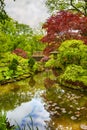 Amazing Scenery of Beautifully Toned and Colorful Japanese Garden