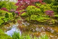 Amazing Scenery of Beautifully Toned and Colorful Japanese Garden