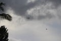 Amazing scenery of birds flying randomly on sky with dark clouds all over. Idyllic portrait is interesting to watch