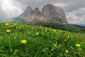 Amazing scenery of Dolomiti in springtime with rugged mountains under cloudy sky & wild flowers on grassy fields in the foreground