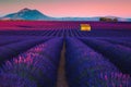 Amazing scenery with lavender fields at sunset, Valensole, Provence, France Royalty Free Stock Photo