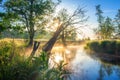 Amazing scenery sunny morning on river