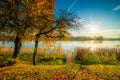 amazing scenic autumn fall landscape near lake