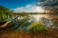 amazing scenic autumn fall landscape near lake