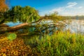 amazing scenic autumn fall landscape near lake