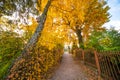 amazing scenic autumn fall landscape