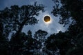 Scientific natural phenomenon. Total solar eclipse with diamond Royalty Free Stock Photo