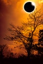 Amazing scientific natural phenomenon. Total solar eclipse glowing on sky. Royalty Free Stock Photo