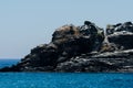 Amazing sea with blue summer wave and rocks, relaxing view of rocks and water Royalty Free Stock Photo