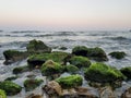 Many rocks with green moss on it in sea wavy water