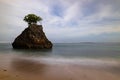 Amazing seascape. Beach during daylight. Rock with tree in the ocean. Waves captured with slow shutter speed. Long exposure with Royalty Free Stock Photo