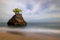 Amazing seascape. Beach during daylight. Rock with tree in the ocean. Waves captured with slow shutter speed. Long exposure with
