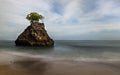 Amazing seascape. Beach during daylight. Rock with tree in the ocean. Waves captured with slow shutter speed. Long exposure with Royalty Free Stock Photo