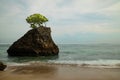 Amazing seascape. Beach during daylight. Rock with tree in the ocean. Waves captured with slow shutter speed. Long exposure with Royalty Free Stock Photo