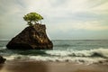 Amazing seascape. Beach during daylight. Rock with tree in the ocean. Waves captured with slow shutter speed. Long exposure with Royalty Free Stock Photo