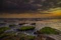 Amazing seascape with motion waves. Waterscape background. Moving water. Nature concept. Sunset scenery background. Long exposure