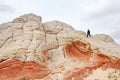 Amazing shapes and colors of moonlike sandstone formations in White Pocket, Arizona, USA Royalty Free Stock Photo