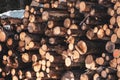 Amazing shot of a big pile of freshly cut tree trunks turned into logs Royalty Free Stock Photo