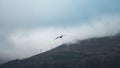Amazing shot of a bird flying over the grassy mountains enveloped in fog - concept of freedom