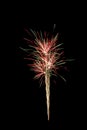 Amazing shot of a couple of colorful fireworks in the night sky