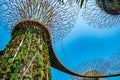 Amazing shot of the Gardens by the Bay in Singapore