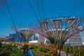 Amazing shot of the Gardens by the Bay in Singapore