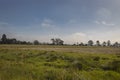 Amazing shot of a green country field with blue sky and white fog at background