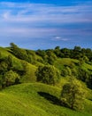Amazing shot of oak trees and Zagajica hills in Serbia