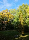 Amazing shot of the Oliwski park's autumnal scene in Gdansk, Poland Royalty Free Stock Photo