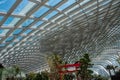 Amazing shot of one of the Gardens by the Bay\' in Singapore