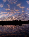 Amazing shot of a reflective water surface on a forest silhouette and a sunset sky background