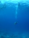 Amazing shot of scuba divers swimming underwater