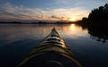 Amazing shot of a small coat nose on an amazing sunrise background