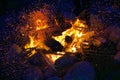 Amazing shot of a sparking campfire - perfect for background or wallpaper