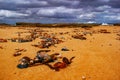 Amazing shot of stones and shells on sandy beach on the background of the sea and the cloudy sky Royalty Free Stock Photo