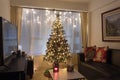 Amazing shot of a warm living room with a flat tv furniture and christmas tree