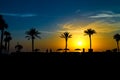 Beautiful silhouettes of palm trees and beach umbrellas at sunrise by the sea Royalty Free Stock Photo