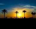 Beautiful silhouettes of palm trees and beach umbrellas at sunrise by the sea Royalty Free Stock Photo