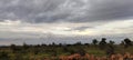 Amazing Sky landscape stones tree