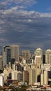 Amazing skyline of Sao Paulo - skyscrapers of Sao Paulo, Brazil