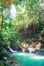 Amazing small hidden waterfall on a hike through a forest. Wonderful autumn scene with fern, small stream and water falling from