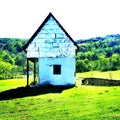 Amazing small house in forest