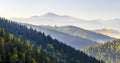 Amazing soft sunrise panorama in mountains. Cerpathian mountain