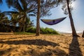 Fantastic South tropics: Hammock Between Palm Trees on the Beach - Sun Rays