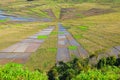 An amazing spider web-shaped rice field in Manggarai Regency, Flores, NTT, Indonesia Royalty Free Stock Photo