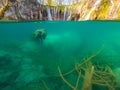 Amazing split view of lake with sunken tree trunk.