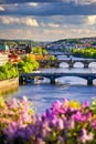 Amazing spring cityscape, Vltava river and old city center with colorful lilac blooming in Letna park, Prague, Czechia. Blooming