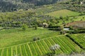 Amazing springtime colorful landscape in Chianti, Tuscany. Italy Royalty Free Stock Photo